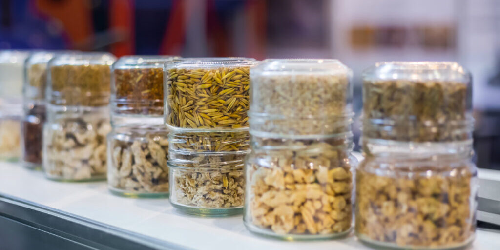 Different kinds of pelleted compound feed, fodder in glass jars: before and after extrusion - food for domestic animals at agricultural exhibition, trade show: close up. Agriculture, husbandry concept